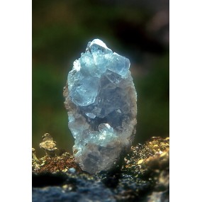 Essenza Singola dell'Alaska - Celestite 7,4 ml