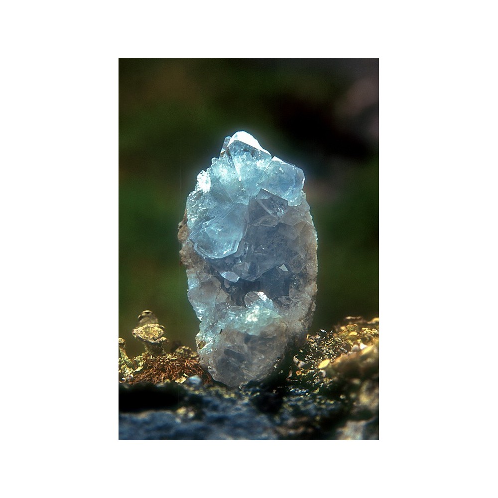 Alaska Single Essence - Celestite 7.4 ml