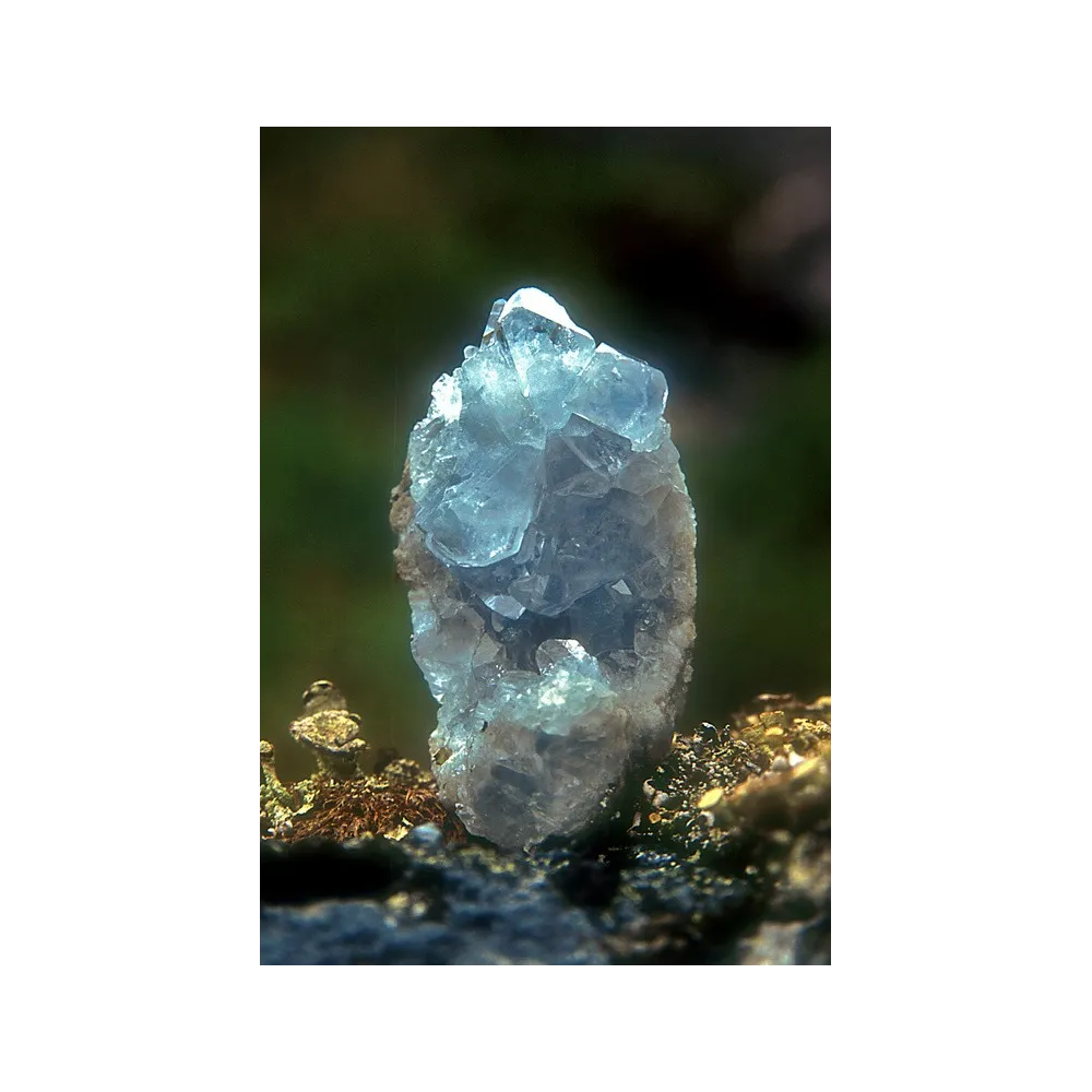 Alaska Single Essence - Celestite 7.4 ml