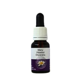 Esencia única Australian Living - Dryandra multicabeza (Dryandra polycephalus) 15 ml