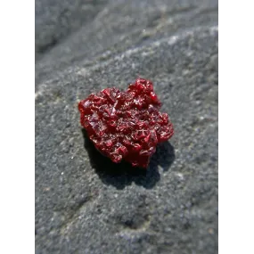 Alaska Single Essence -...