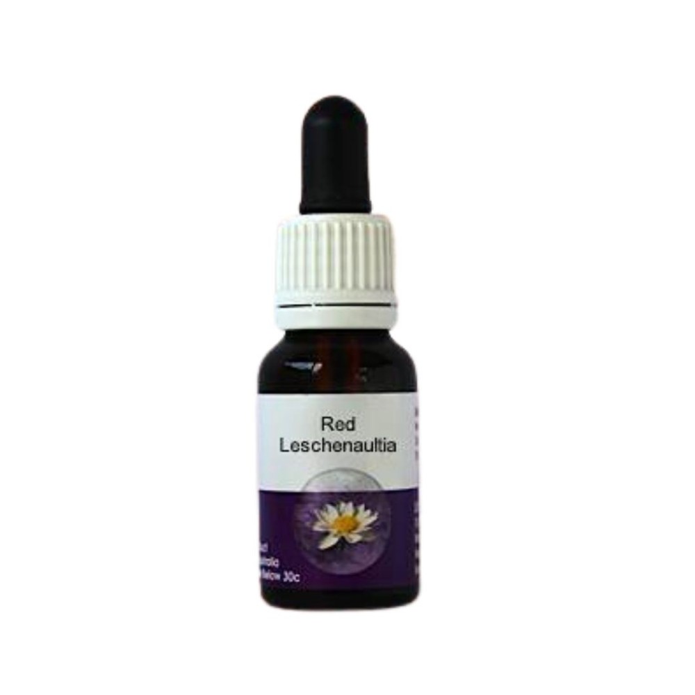 Red Leschenaultia (Leschenaultia formosa) 15 ml