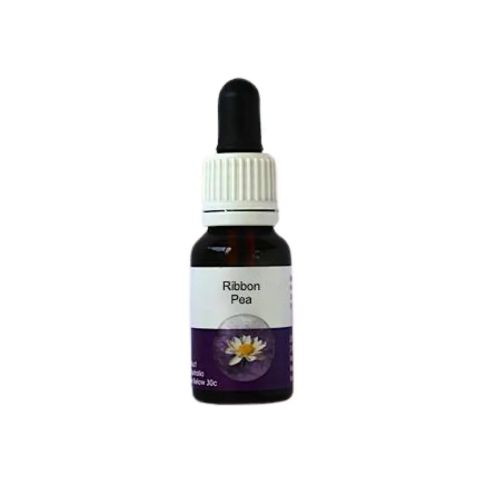Ribbon Pea (Brachysema aphylla) 15 ml