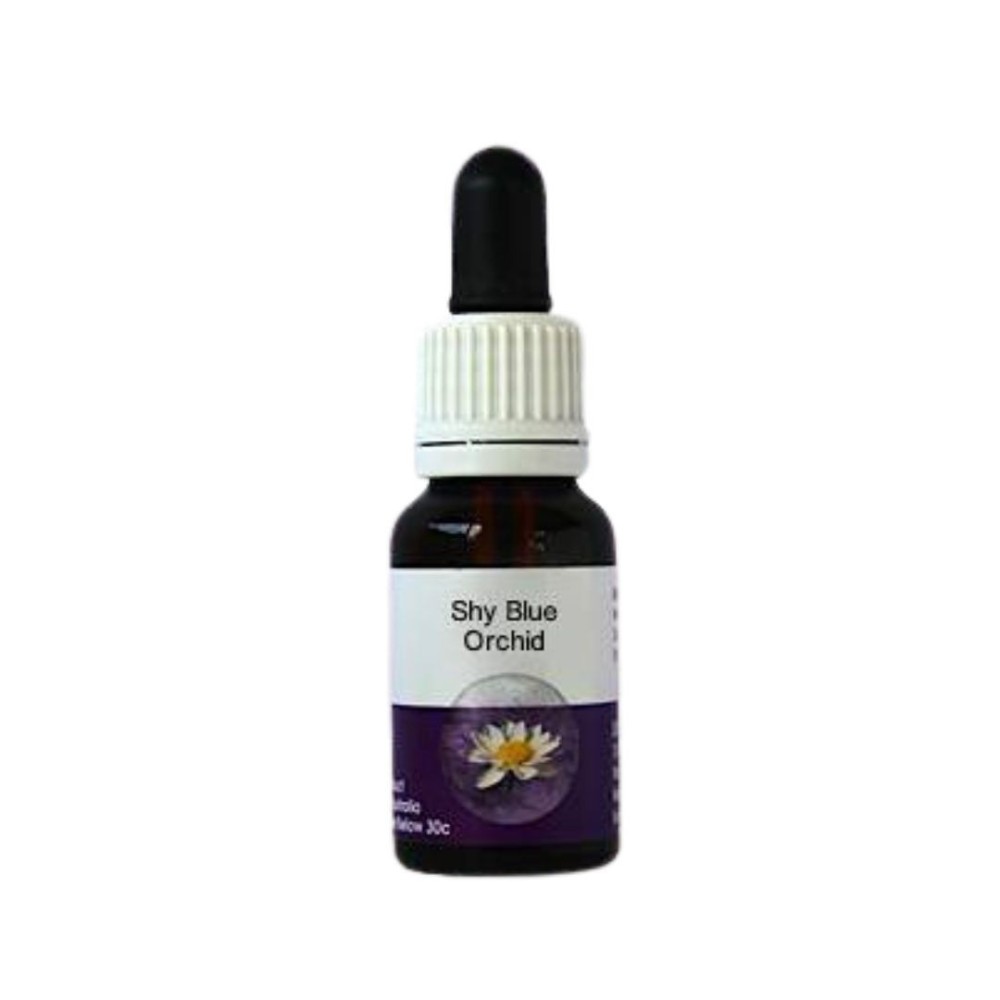 Orchidée bleue timide (Cyanicula amplexans) 15ml