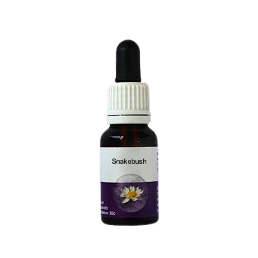 Schlangenstrauch (Hemiandra pungens) 15ml