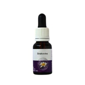 Esencia única de Australian Living - Hibbertia scandens (vid de serpiente) 15 ml