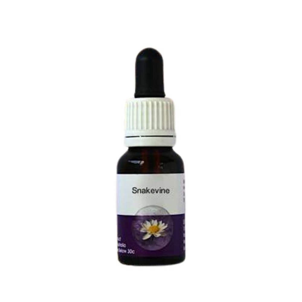 Snakevine (Hibbertia scandens) 15ml