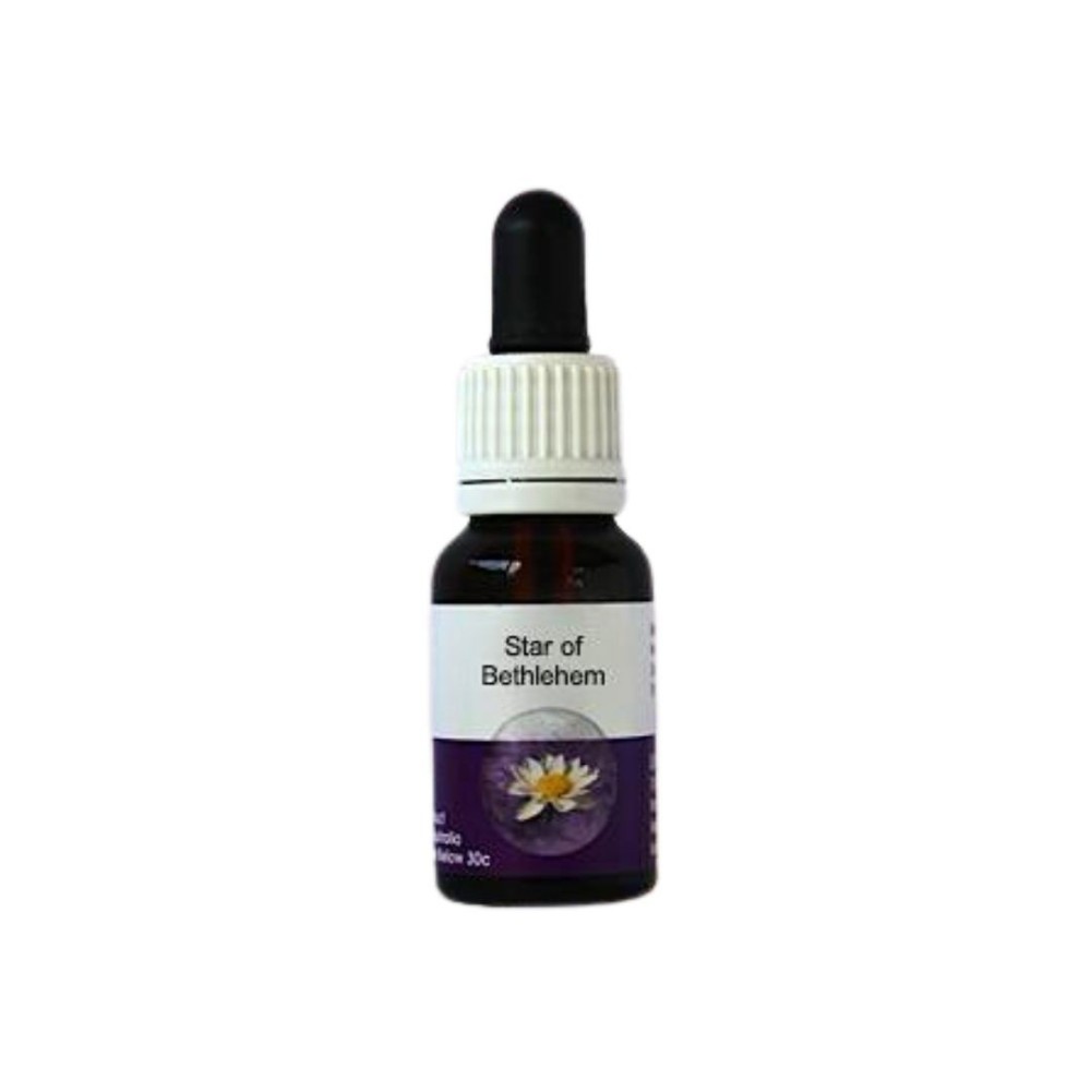 Etoile de Bethléem (Calectasia cyanea) 15ml