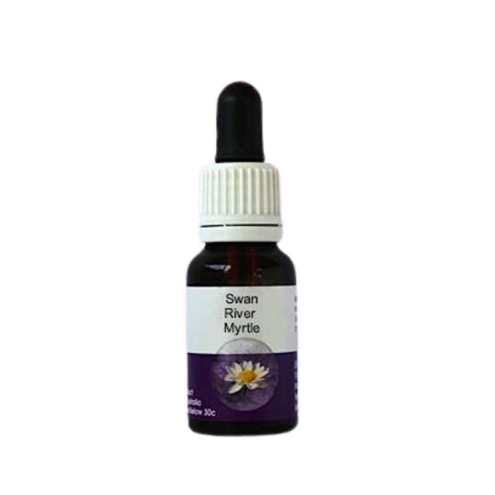 Swan River Myrtle (Hypocalymma robustum) 15ml