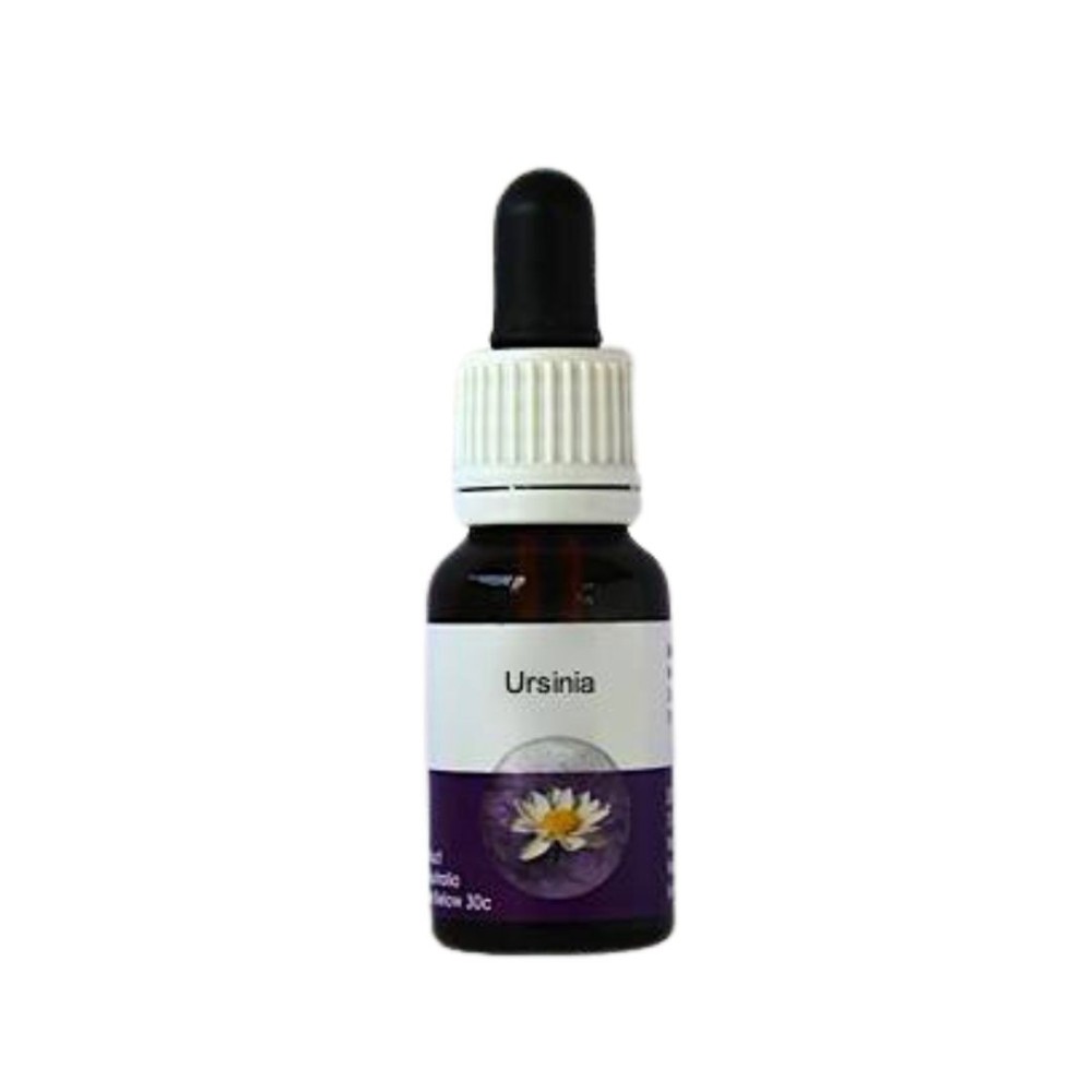 Ursinien (Ursinia Anthemoides) 15ml