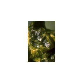 Alaska Single Essence - Green Garnet 7.4 ml