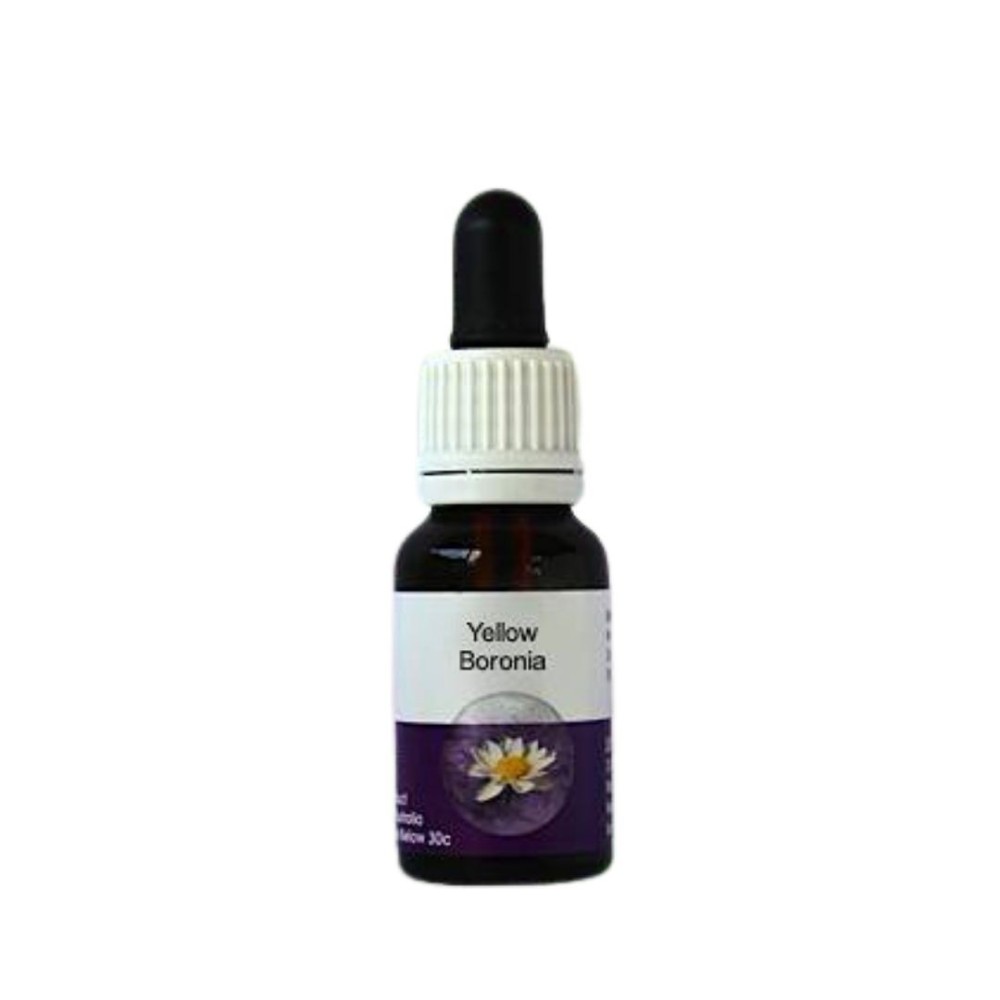 Boronia jaune (Megastigma lutea) 15ml