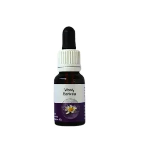 Esencia única de Australian Living - Banksia lanuda (Banksia hookeriana) 15 ml