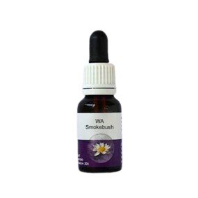 Esencia única de Australian Living - Conospermum stoechadis (arbusto de humo de Australia Occidental) 15 ml