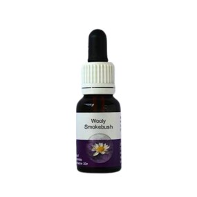 Esencia única de Australian Living - Woolly Smokebush (Conospermum incurvum) 15 ml