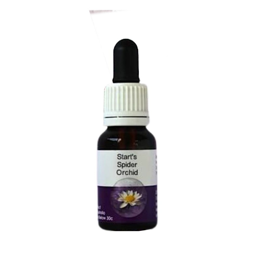 Start's Spinnenorchidee (Caladenia starteorum) 15ml