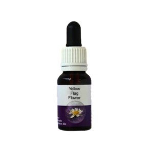 Esencia única de Australian Living - Flor de bandera amarilla (Patersonia xanthina) 15 ml
