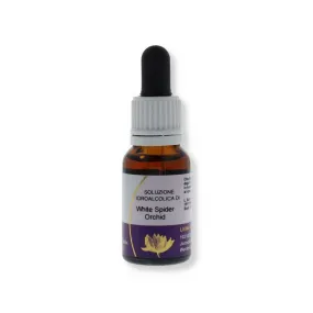 Weiße Spinnenorchidee (Caladenia patersonii) 15ml