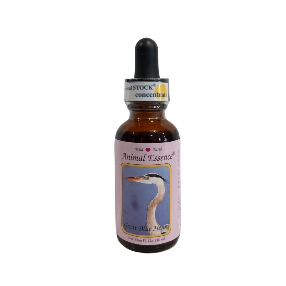 Great Blue Heron (Blue Heron) 30 ml