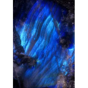 Essence Unique d'Alaska -...