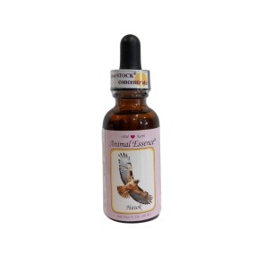 Esencia única Wild Earth - Hawk 30 ml