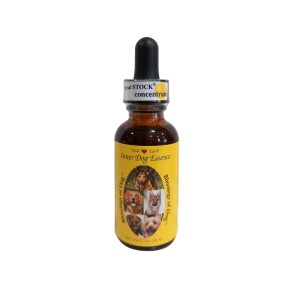 Fórmula compuesta de Wild Earth - Bendición del perro (30 ml)