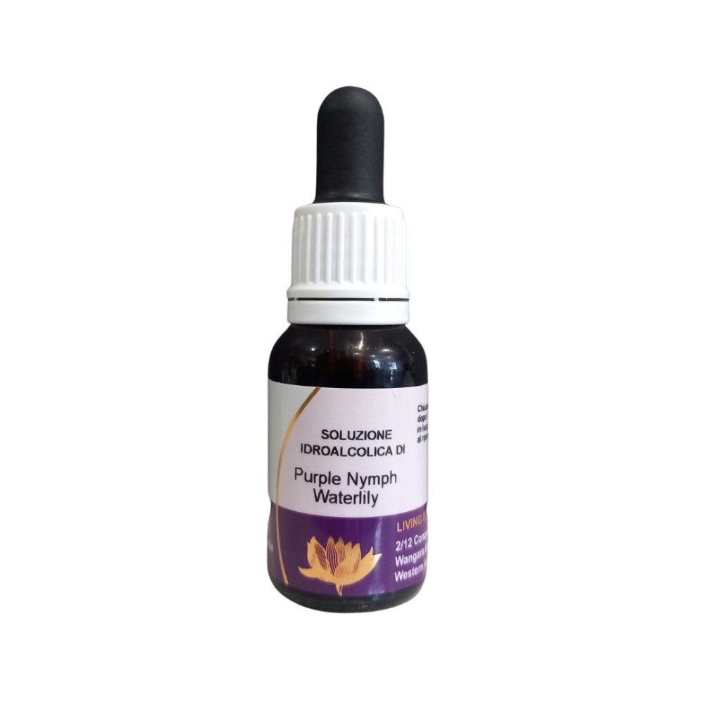 Lila Nymphen-Seerose (Nymphaea violeacea) 15 ml