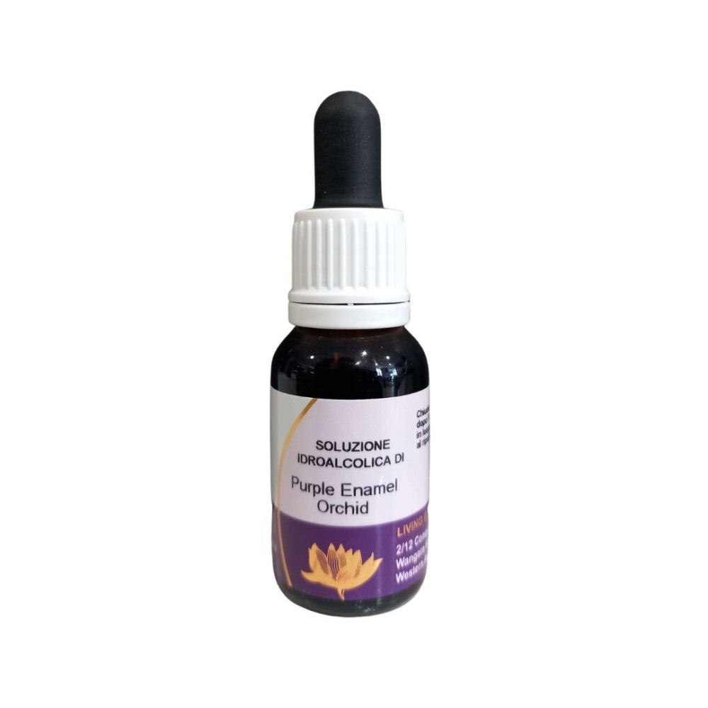 Orchidée en émail violet (Elythranthera brunonis) 15ml