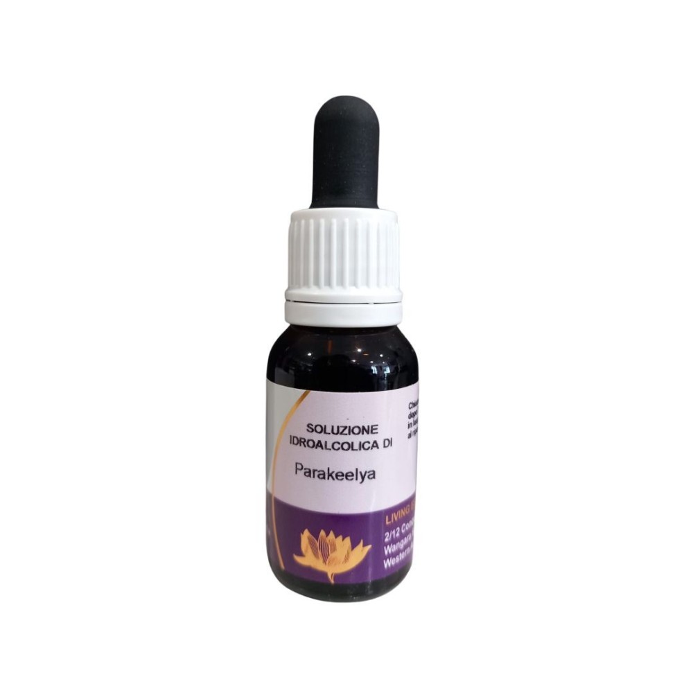 Perruche (Calandrinia polyandra) 15ml