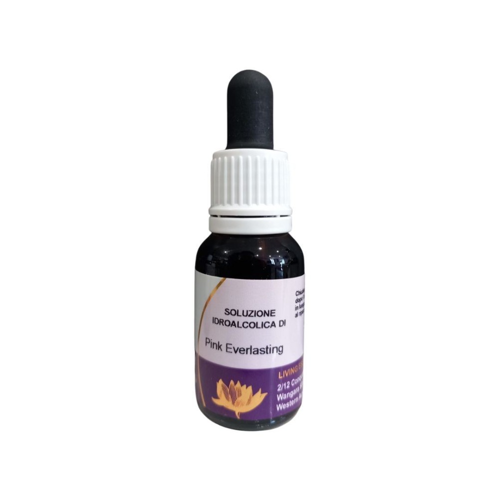 Pink Everlasting (Helipterum roseum) 15 ml