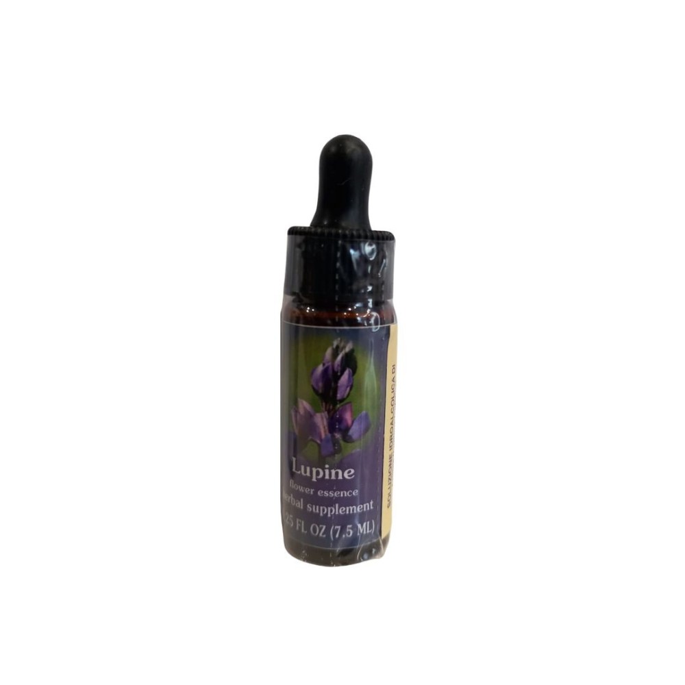 Lupine (Lupinus latifolius) 7.4 ml