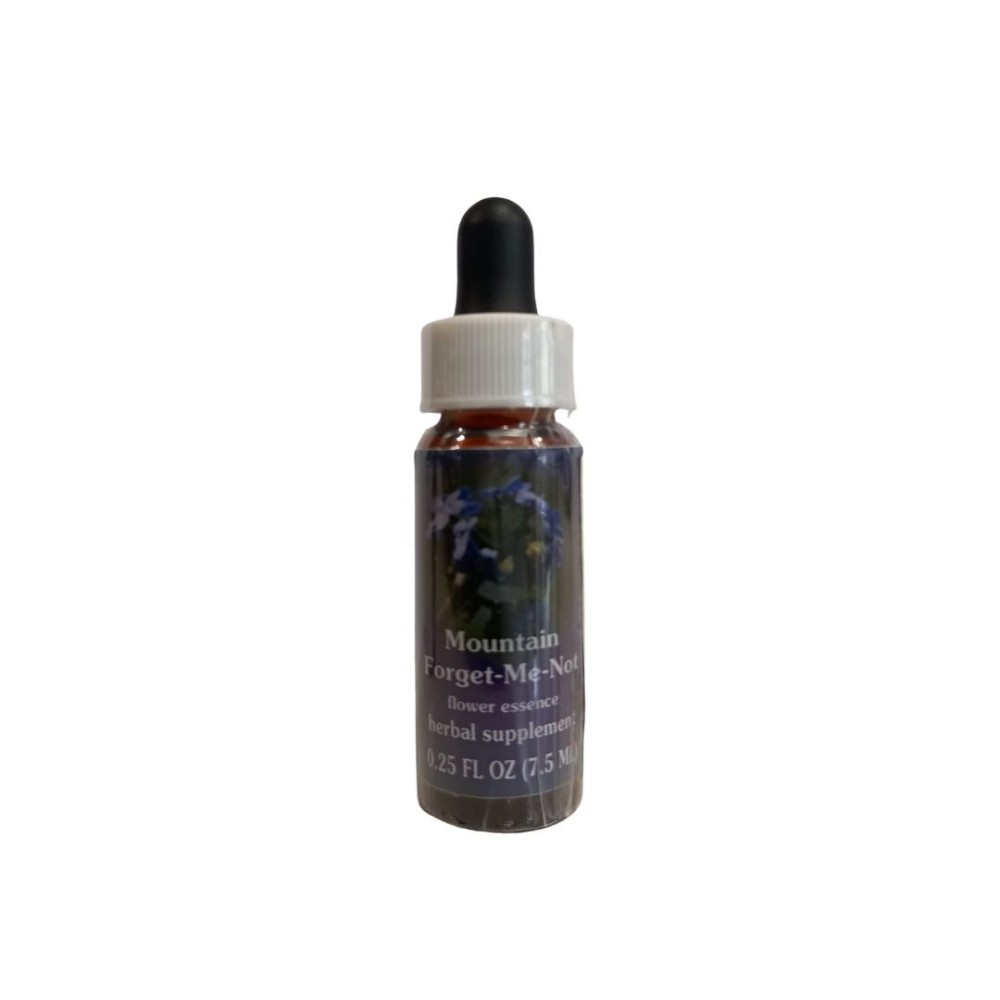 Bergvergissmeinnicht (Hackelia micrantha) 7,4 ml