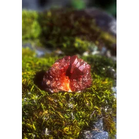 Essence Unique d'Alaska -...