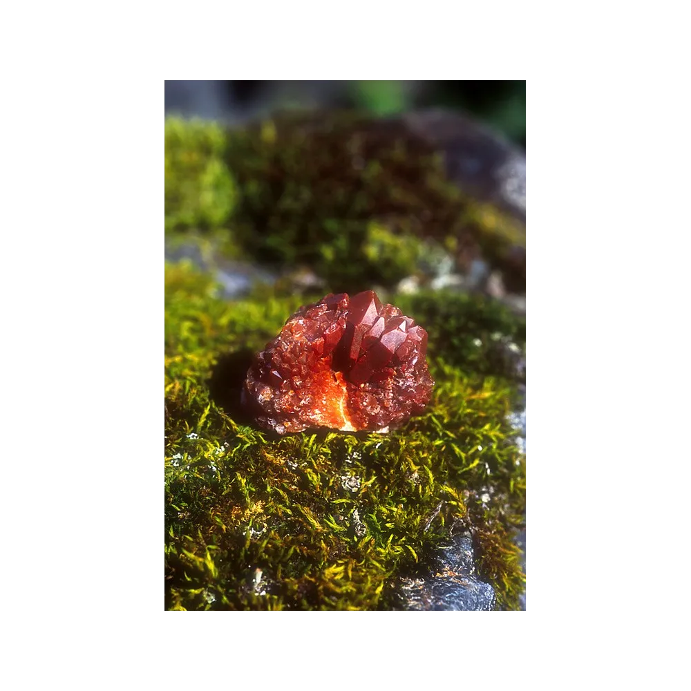 Esencia única de Alaska - Cuarzo rojo 7,4 ml