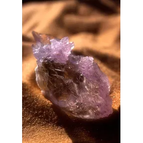 Essence unique Alaska -...