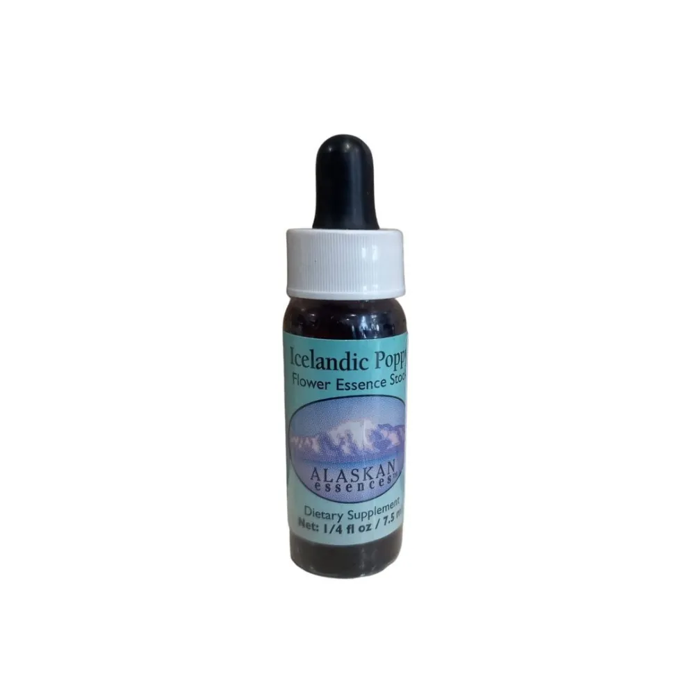 Amapola de Islandia (Papaver icelandica) 7,4 ml