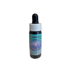 Essence simple d'Alaska - Comandra (Geocaulon lividum) 7,4 ml
