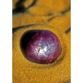 Essence unique d'Alaska -...