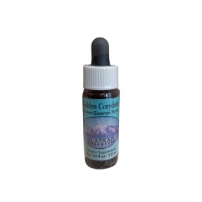 Alaska Single Essence – Goldener Corydalis (Corydalis aurea) 7,4 ml