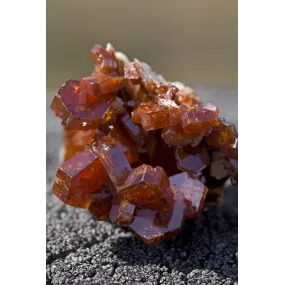 Essence unique d'Alaska -...