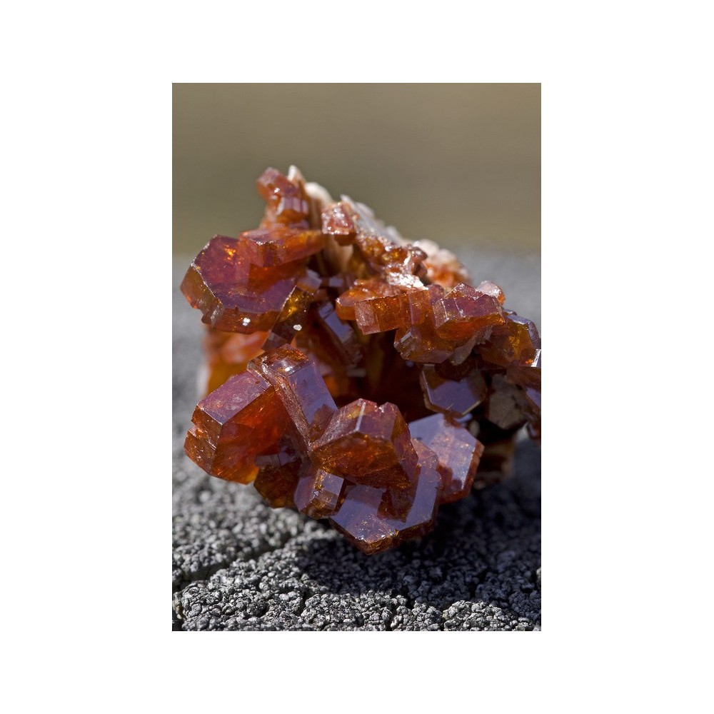 Alaska Single Essence - Vanadinite 7.4 ml