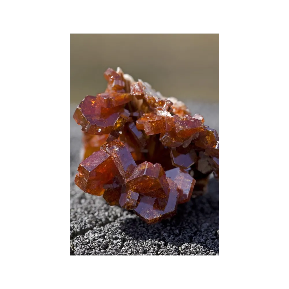 Essenza Singola dell'Alaska - Vanadinite 7,4 ml