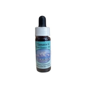 Essence simple Alaska - Tamarack (Larix laricina) 7,4 ml