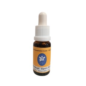 African Essences Korte - Viper's Bugloss 15 ml
