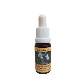 African Essences Korte - Kap-Bleiwurz 15 ml