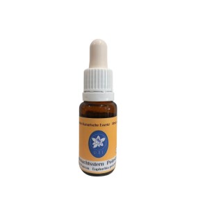 African Essences Korte - Poinsettia 15 ml