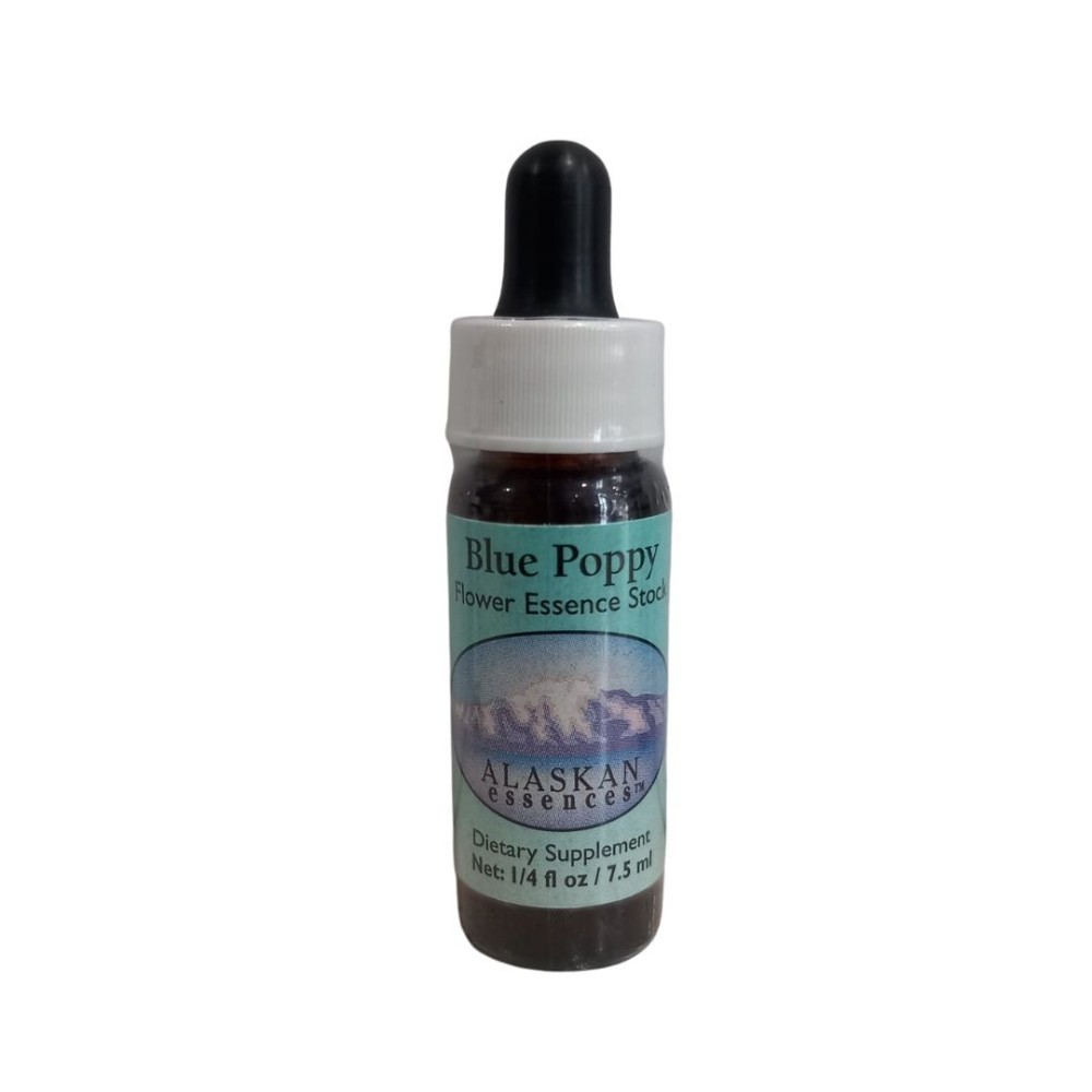 Blue Poppy (Meconopsis grandis) 7,4 ml