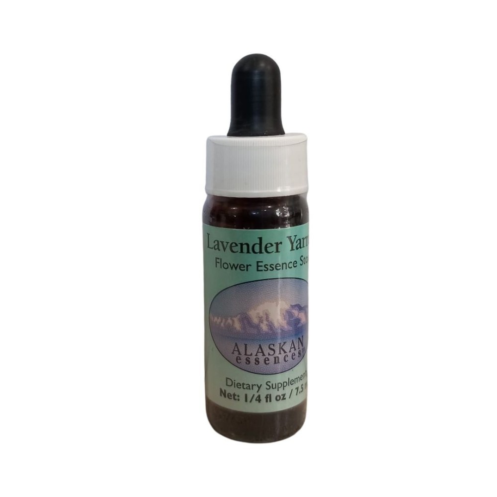 Lavender Yarrow (Achillea borealis) 7.4ml