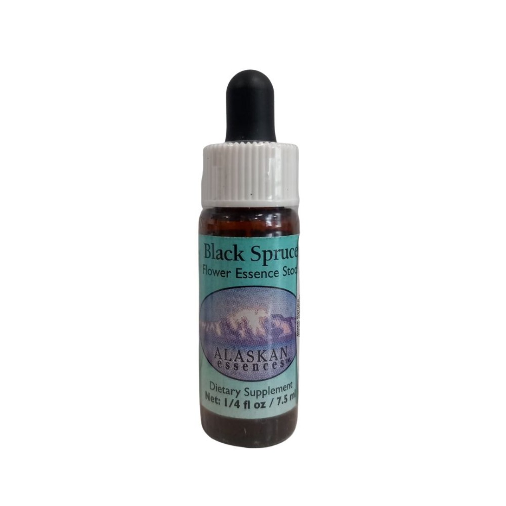 Black Spruce (Picea mariana) 7,4 ml