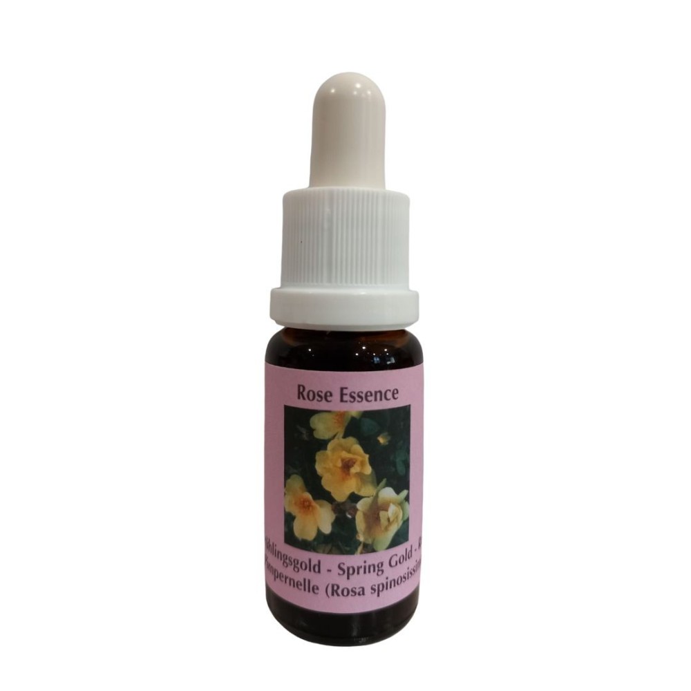 Frühlingsgold (Rosa spinosissima) 15 ml